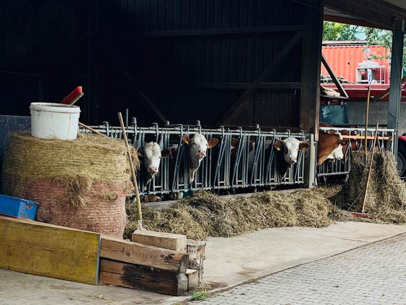 22-09-10 17-30-41 1957